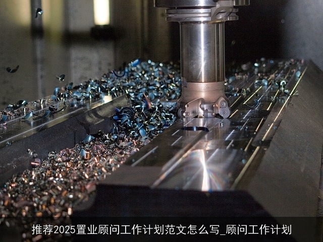 推荐2025置业顾问工作计划范文怎么写_顾问工作计划