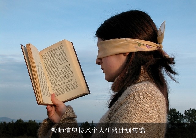 教师信息技术个人研修计划集锦