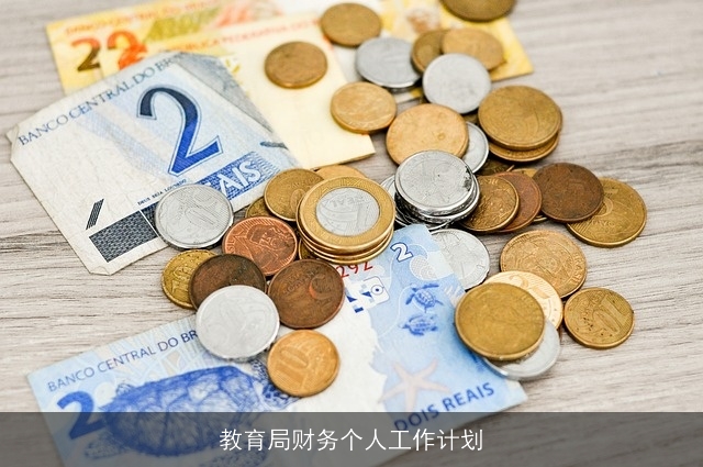 教育局财务个人工作计划