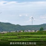 新农村特色建设工作计划