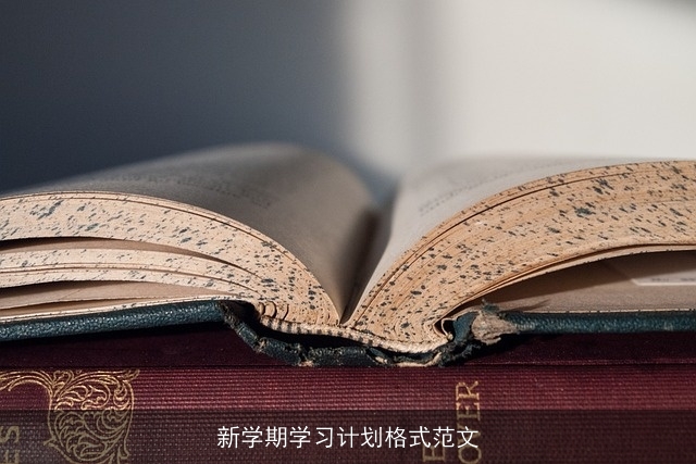 新学期学习计划格式范文