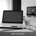 新年计划书总结