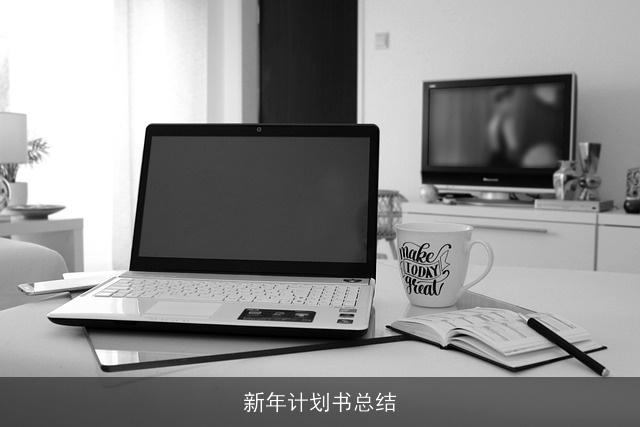 新年计划书总结