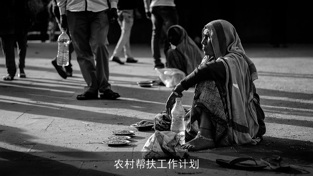 农村帮扶工作计划