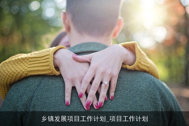 乡镇发展项目工作计划_项目工作计划