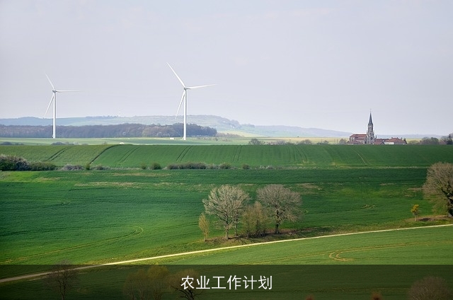 农业工作计划