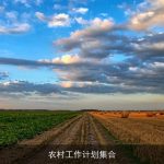 新时代农村工作计划：产业发展与乡村振兴战略解析