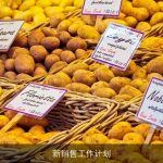 新销售工作计划