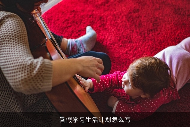 暑假学习生活计划怎么写