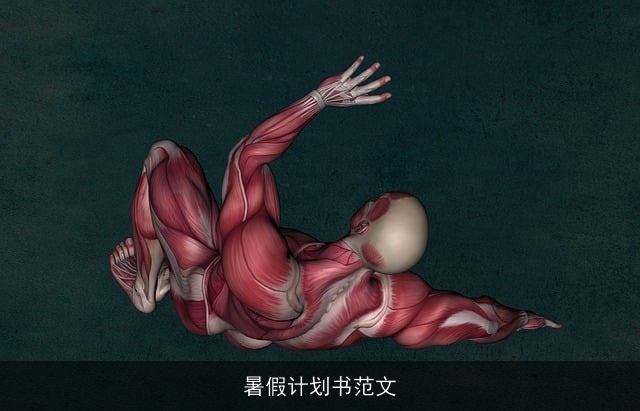 暑假计划书范文