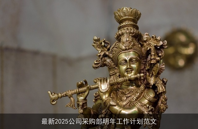 最新2025公司采购部明年工作计划范文