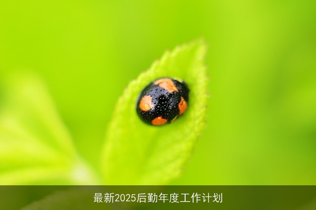 最新2025后勤年度工作计划
