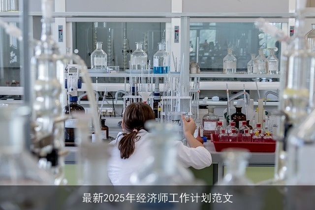 最新2025年经济师工作计划范文