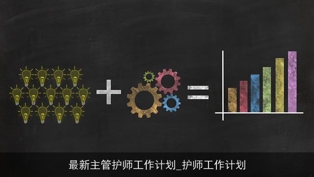 最新主管护师工作计划_护师工作计划