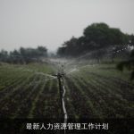 最新人力资源管理工作计划