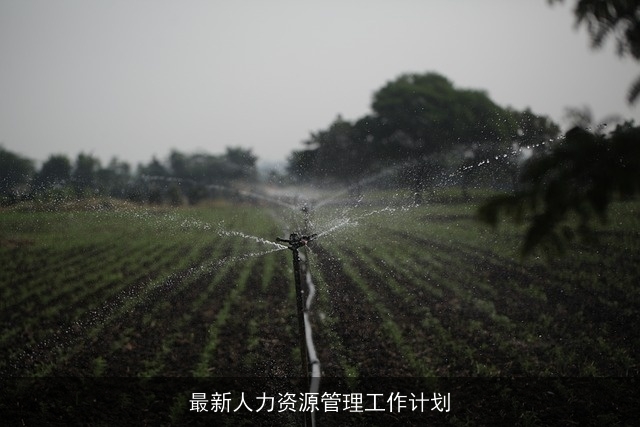 最新人力资源管理工作计划