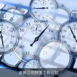 最新公司财务工作计划