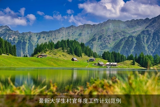 最新大学生村官年度工作计划范例