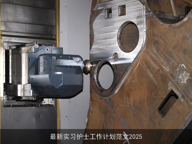 最新实习护士工作计划范文2025