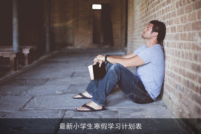 最新小学生寒假学习计划表