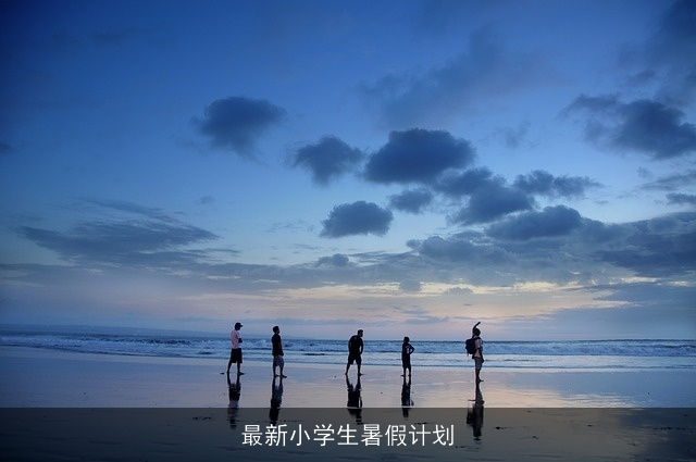 最新小学生暑假计划