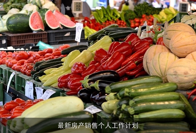 最新房产销售个人工作计划