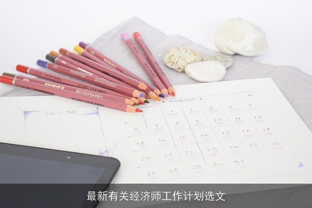 最新有关经济师工作计划选文