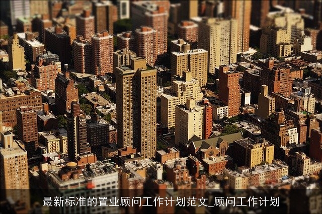 最新标准的置业顾问工作计划范文_顾问工作计划