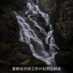 最新经济师工作计划例文样本