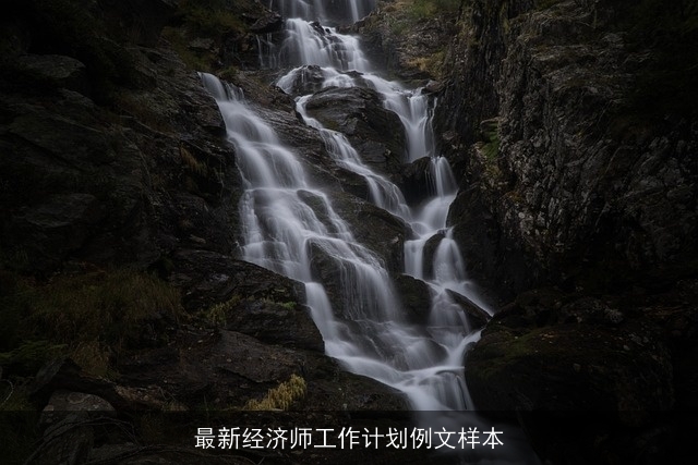 最新经济师工作计划例文样本
