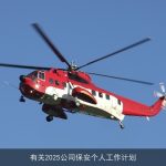 有关2025公司保安个人工作计划