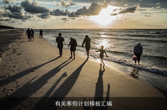 有关寒假计划模板汇编