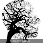 有关高三体育教学计划