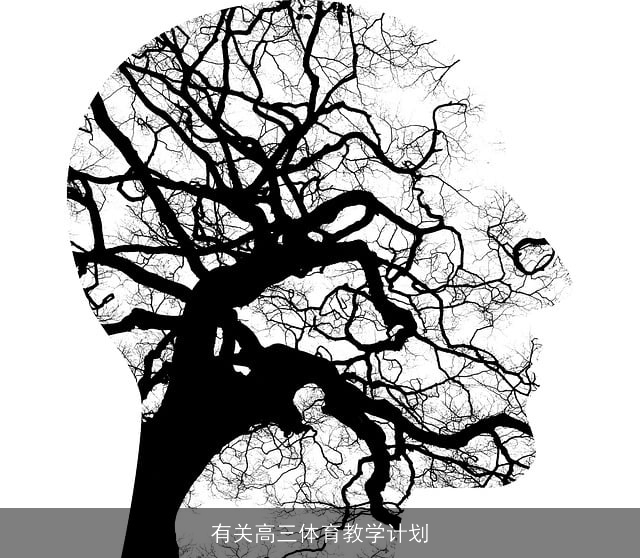 有关高三体育教学计划