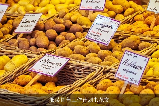 服装销售工作计划书范文