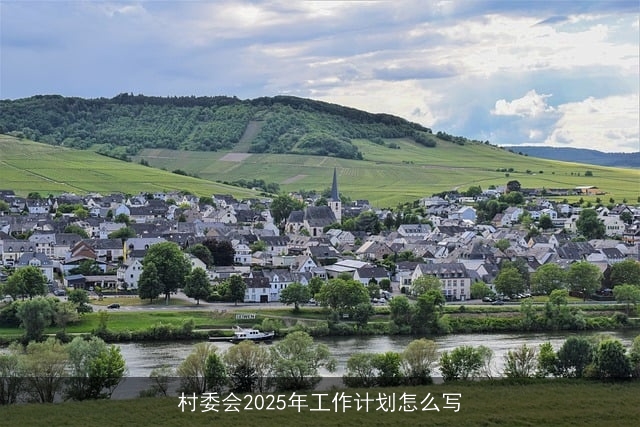 村委会2025年工作计划怎么写