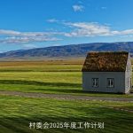 村委会2025年度工作计划