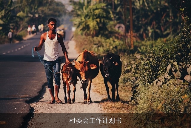 村委会工作计划书
