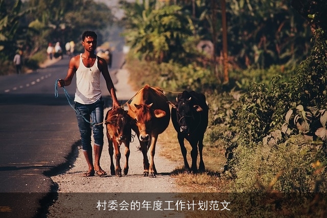 村委会的年度工作计划范文