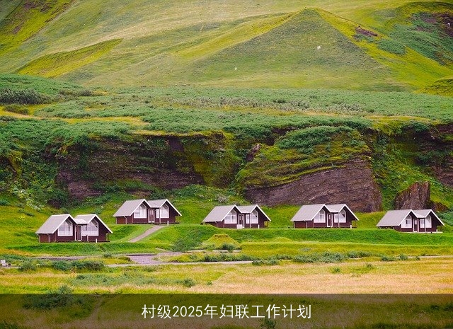 村级2025年妇联工作计划