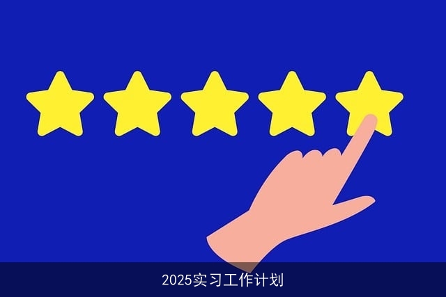 2025实习工作计划