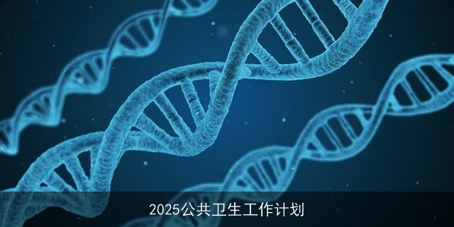 2025公共卫生工作计划