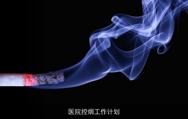 医院控烟工作计划