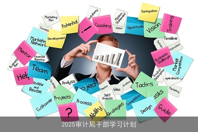 2025审计局干部学习计划