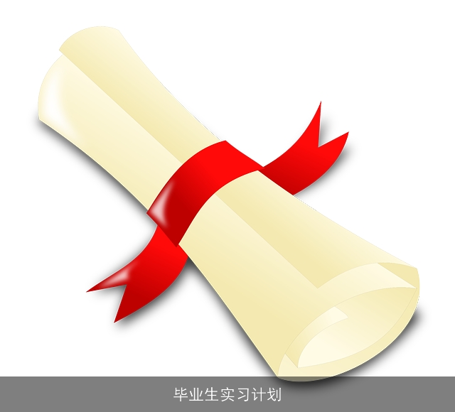 毕业生实习计划