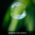 民政财务工作计划范文