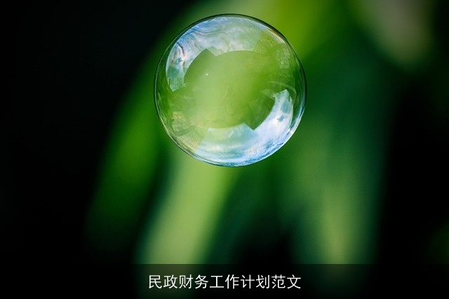 民政财务工作计划范文