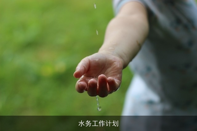 水务工作计划