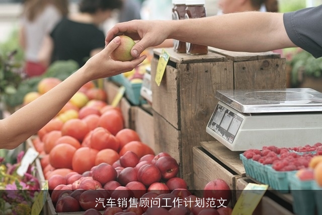 汽车销售顾问工作计划范文