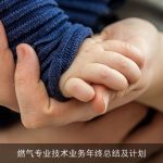 燃气专业技术业务年终总结及计划